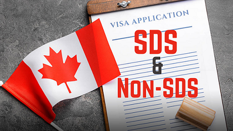 Sds Vs Non Sds Canada Quality Consulting Services Sds Vs Non Sds Canada Quality Consulting Services